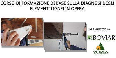 Corso di formazione di base sulla diagnosi degli elementi lignei in opera