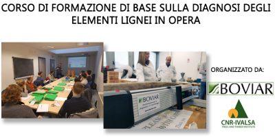 Corso di formazione di base sulla diagnosi degli elementi lignei in opera